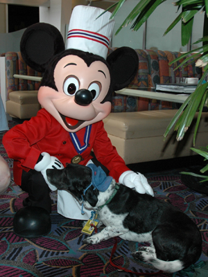 chef mickey 105.jpg